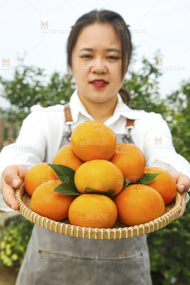 脆柿