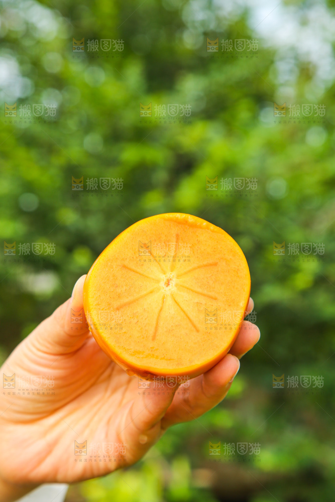 手里拿着新鲜脆柿
