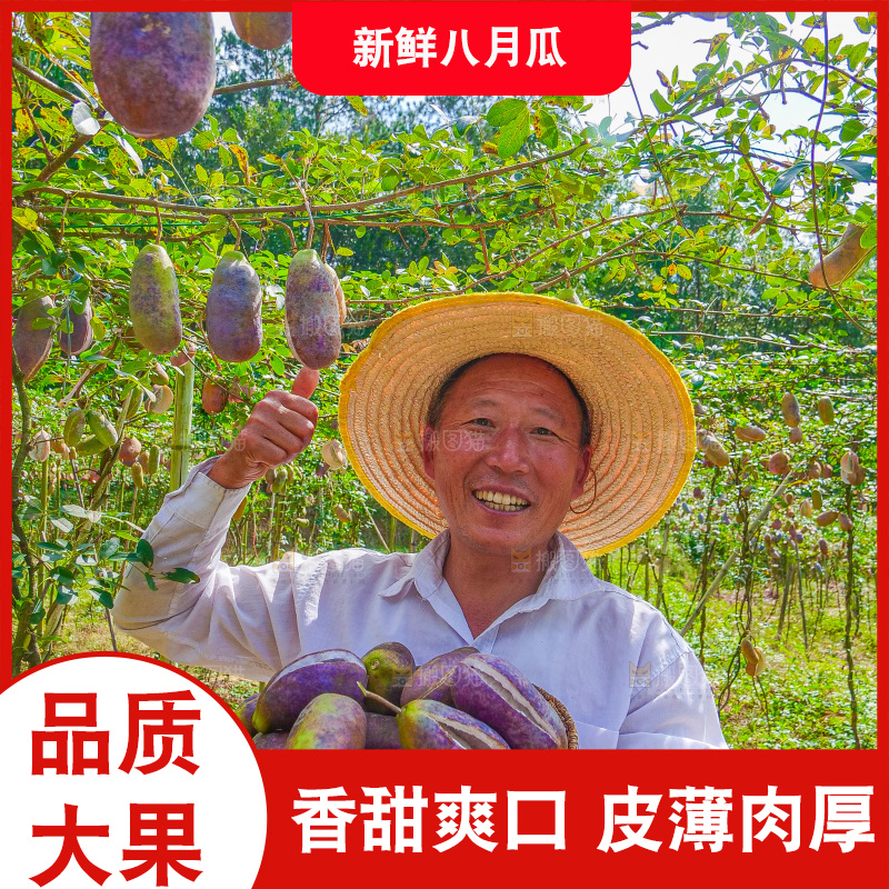 手里拿着现摘八月炸