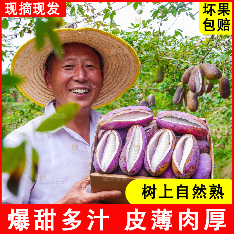 手里拿着现摘八月炸