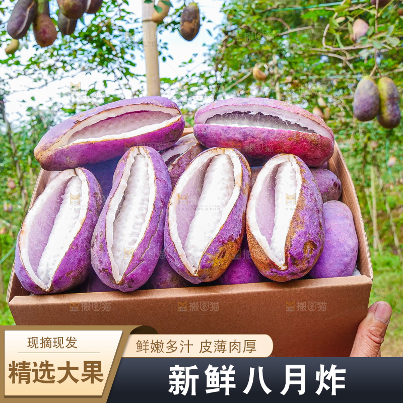 手里拿着现摘八月炸