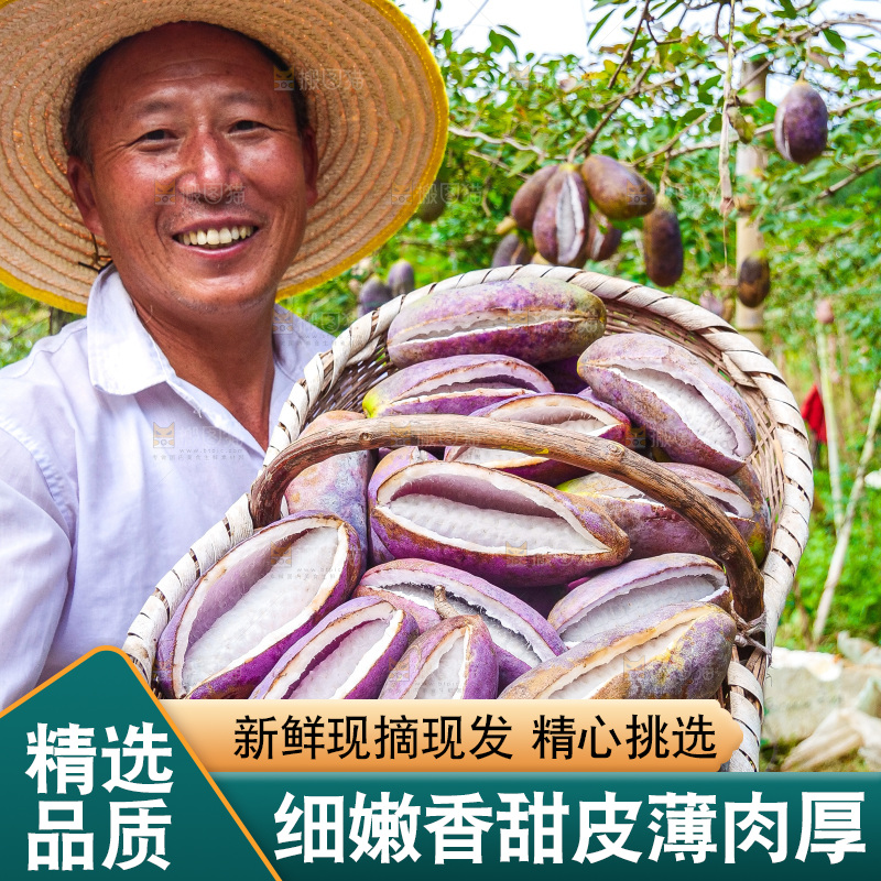 手里拿着现摘八月炸