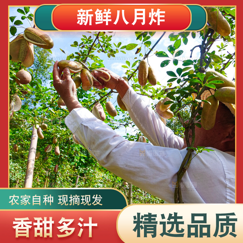 手里拿着现摘八月炸