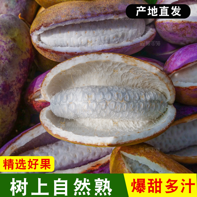 手里拿着现摘八月炸