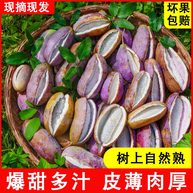 手里拿着现摘八月炸