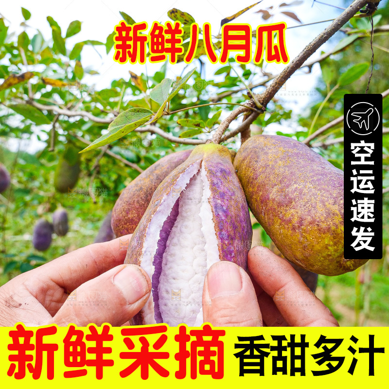 手里拿着现摘八月炸