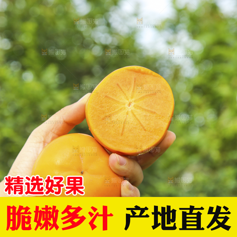 手里拿着新鲜脆柿