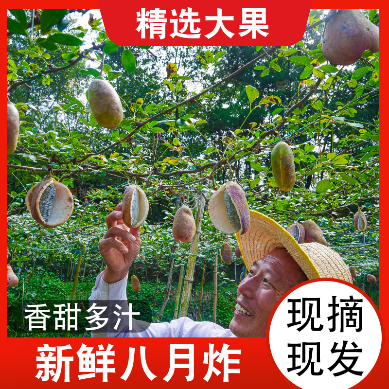 手里拿着现摘八月炸