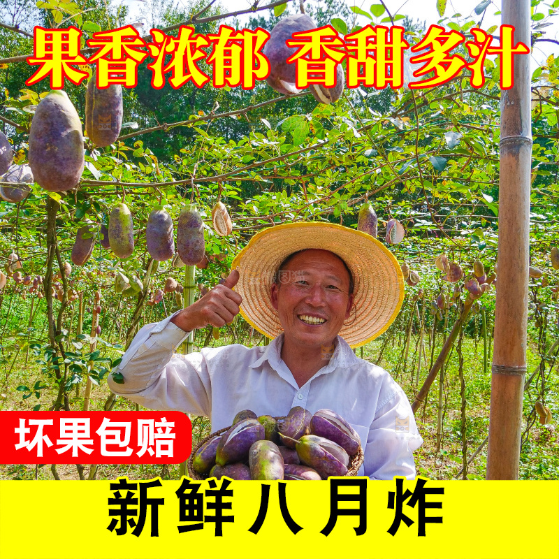手里拿着现摘八月炸