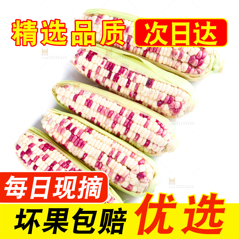 白底上的花糯玉米