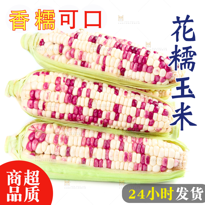 白底上的花糯玉米
