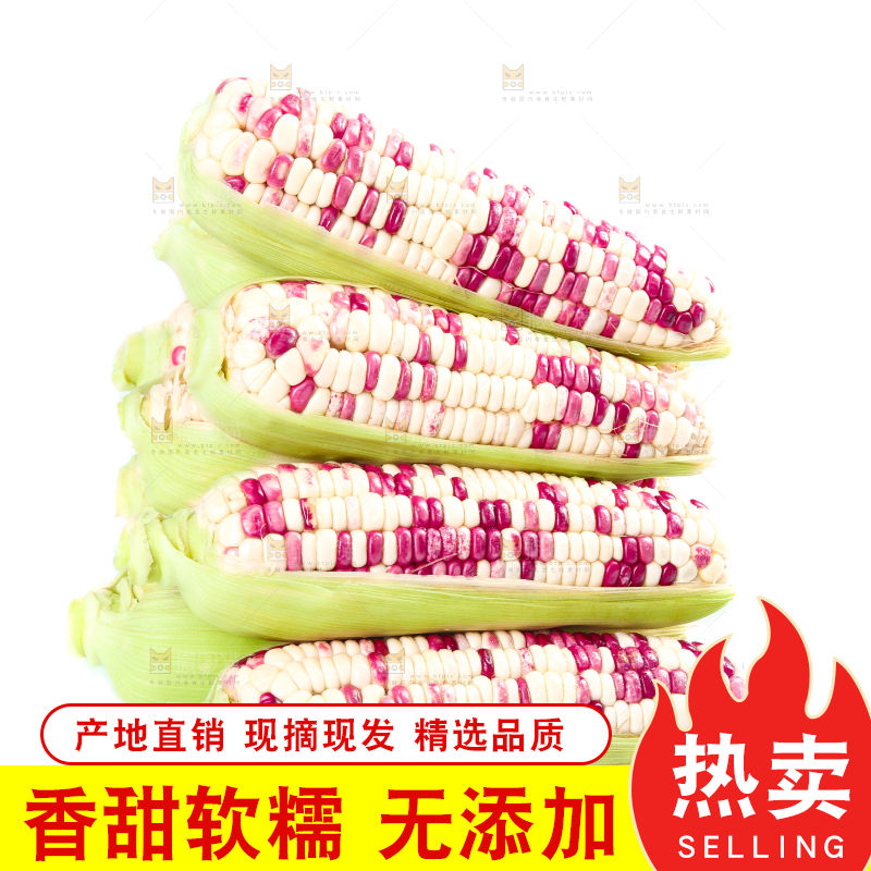 白底上的花糯玉米