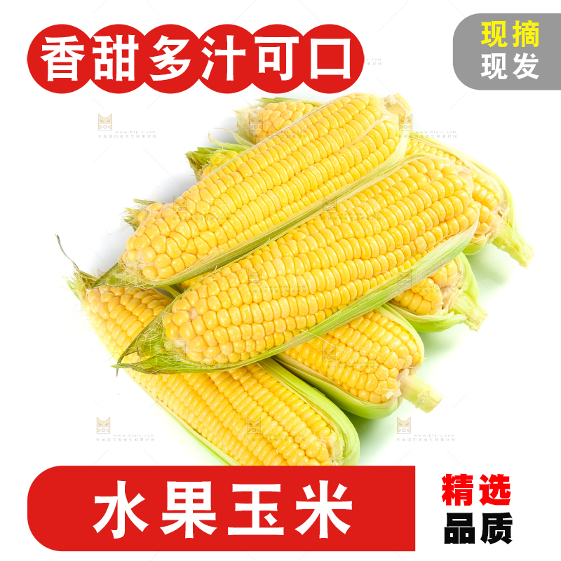 白底上的水果玉米