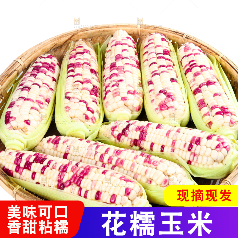 白底上的花糯玉米