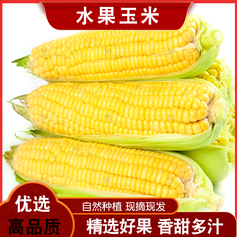 白底上的水果玉米