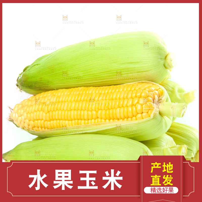 白底上的水果玉米