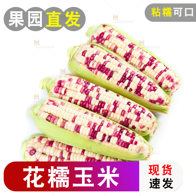 白底上的花糯玉米