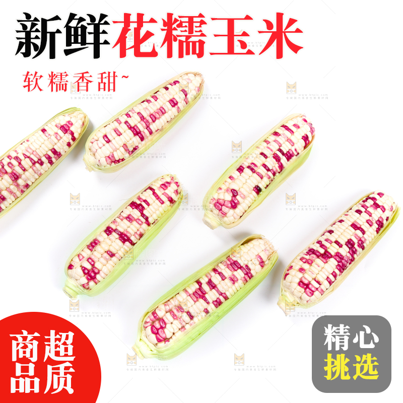 白底上的花糯玉米