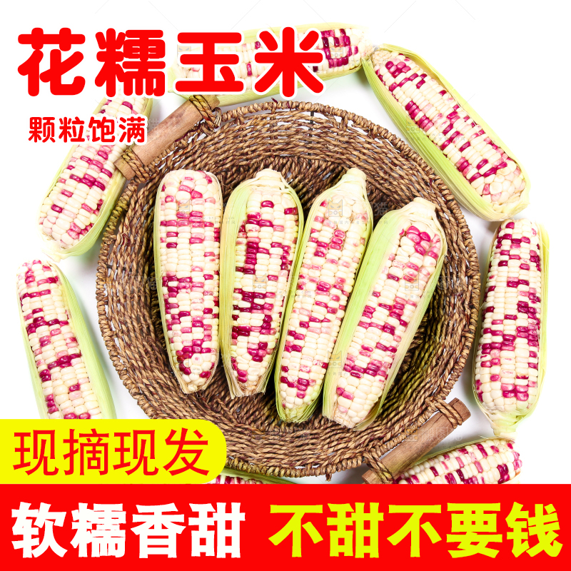 白底上的花糯玉米