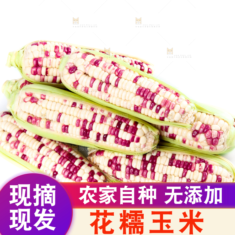 白底上的花糯玉米