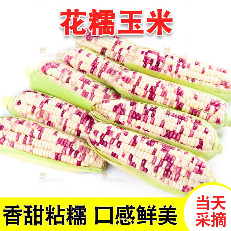 白底上的花糯玉米