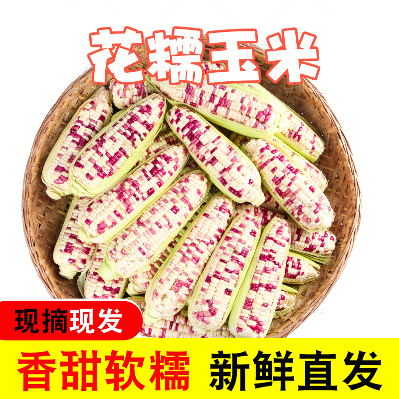 白底上的花糯玉米