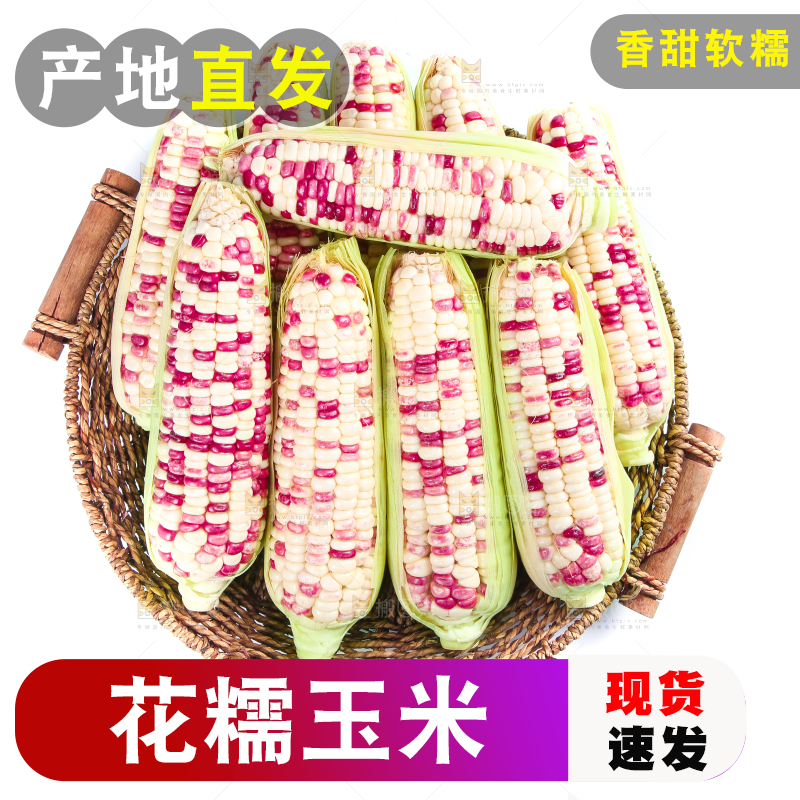 白底上的花糯玉米