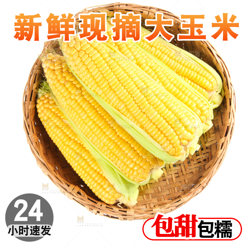 白底上的水果玉米