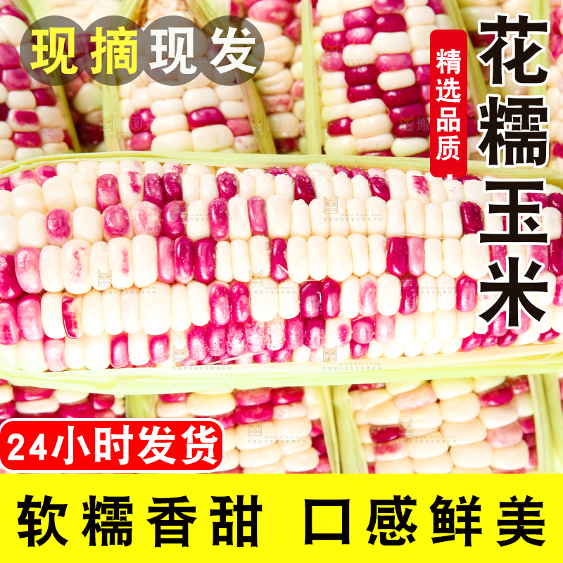 白底上的花糯玉米