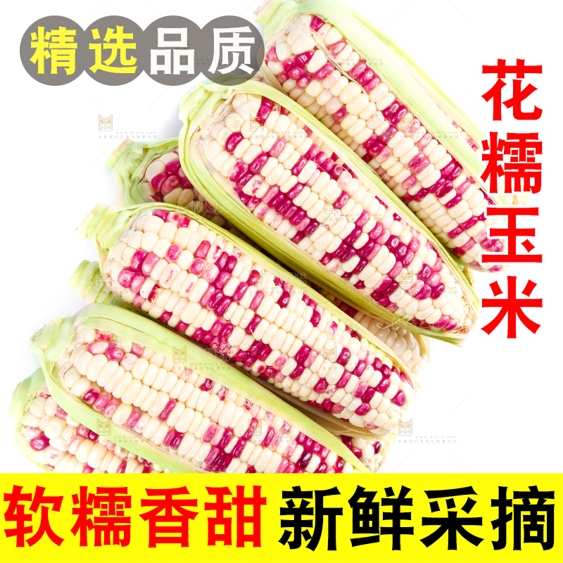 白底上的花糯玉米