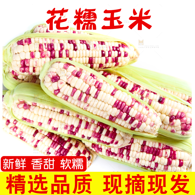 白底上的花糯玉米