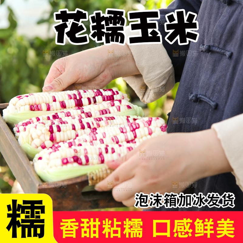 手里拿着花糯玉米