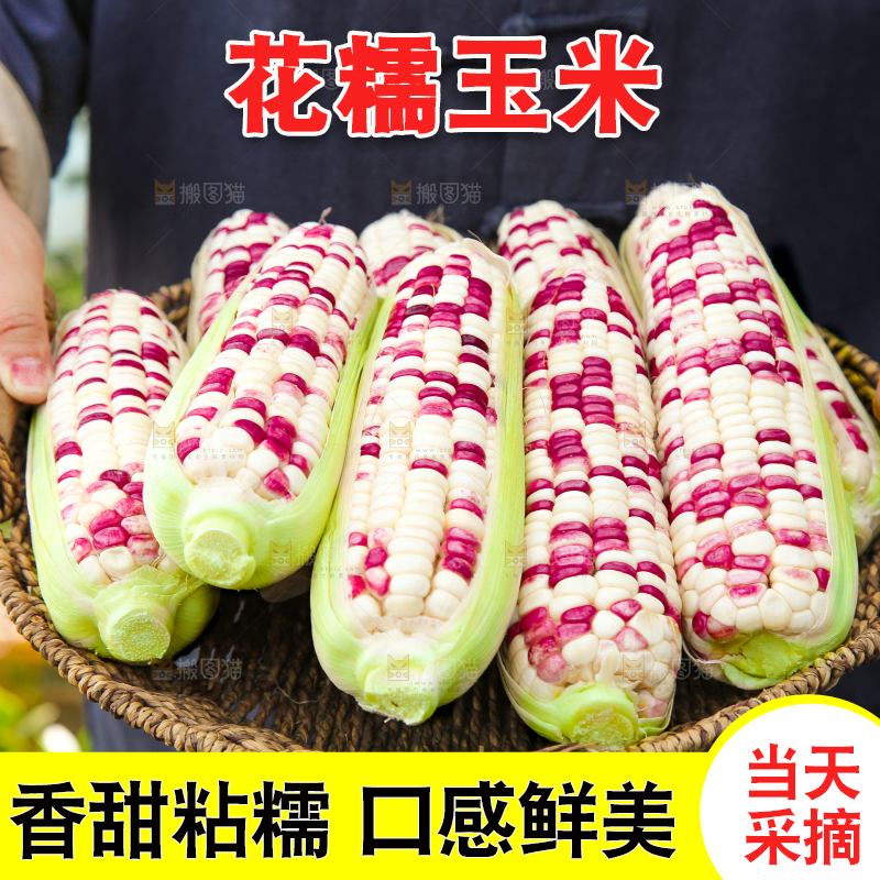 手里拿着花糯玉米
