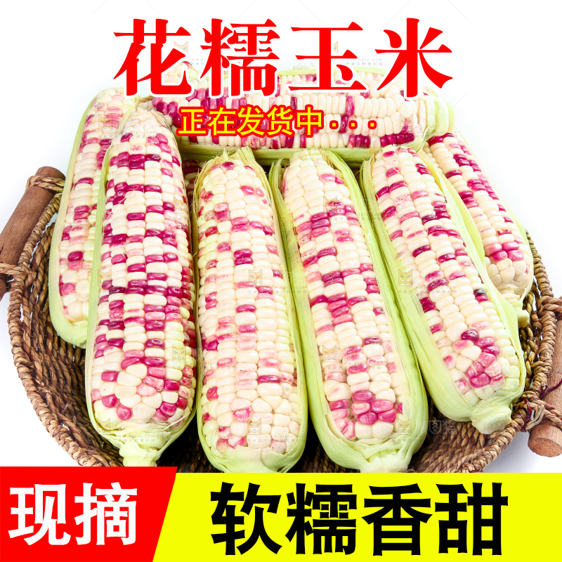 白底上的花糯玉米