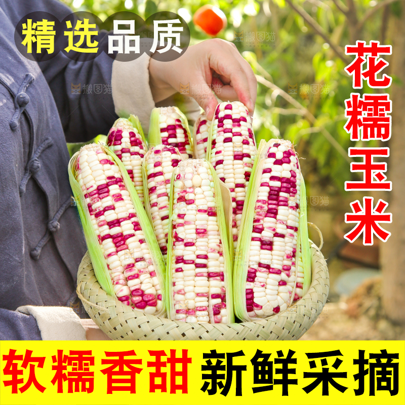 手里拿着花糯玉米