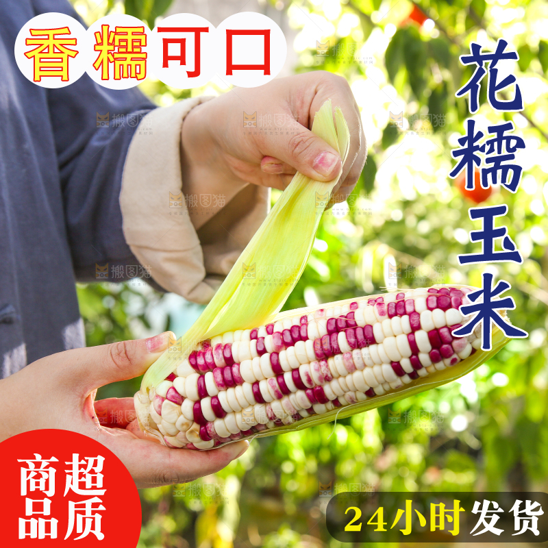 手里拿着花糯玉米