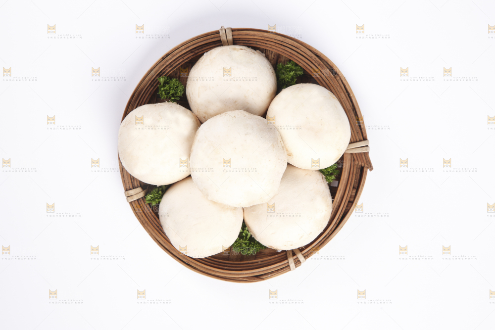 白底上的口蘑