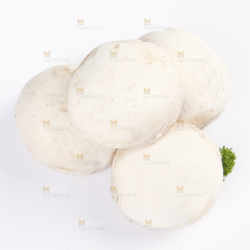 白底上的口蘑