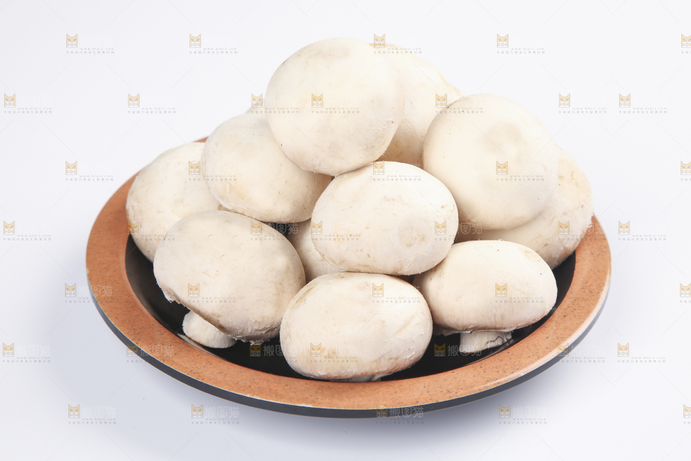 白底上的口蘑