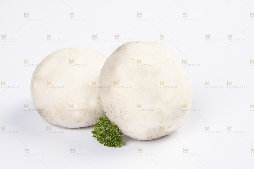 白底上的口蘑