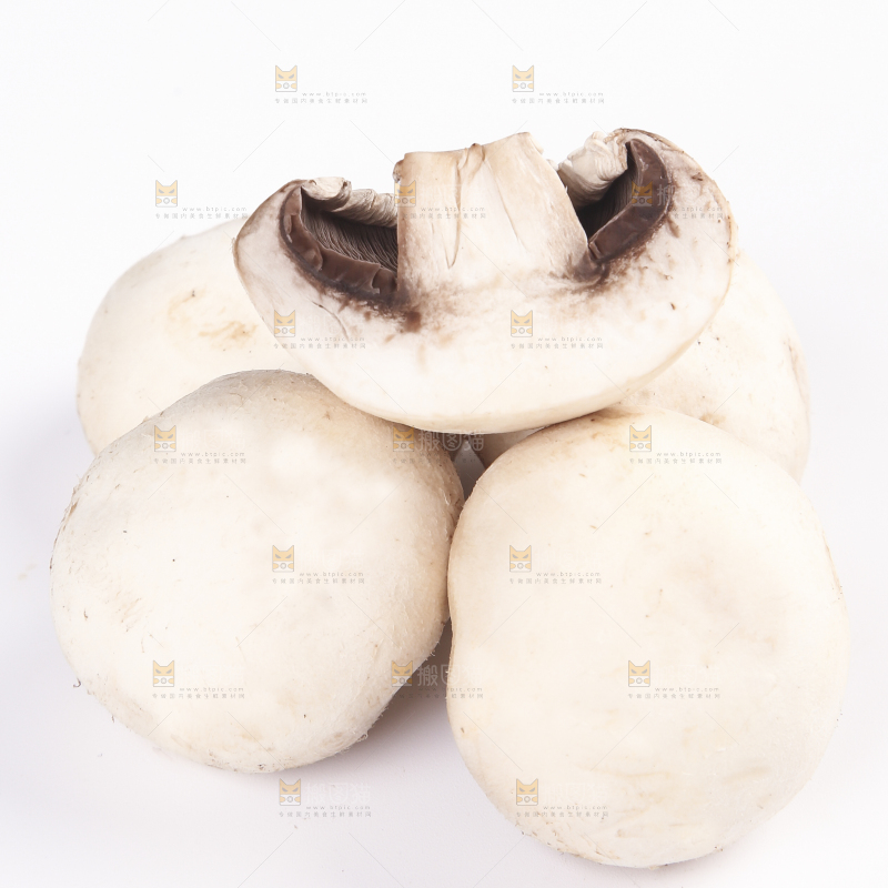 白底上的口蘑
