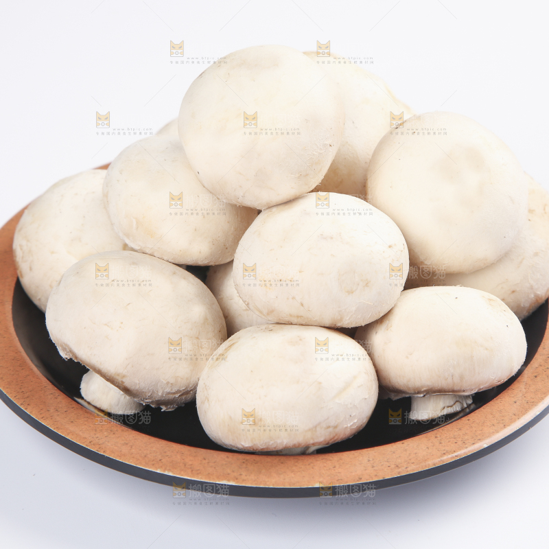 白底上的口蘑