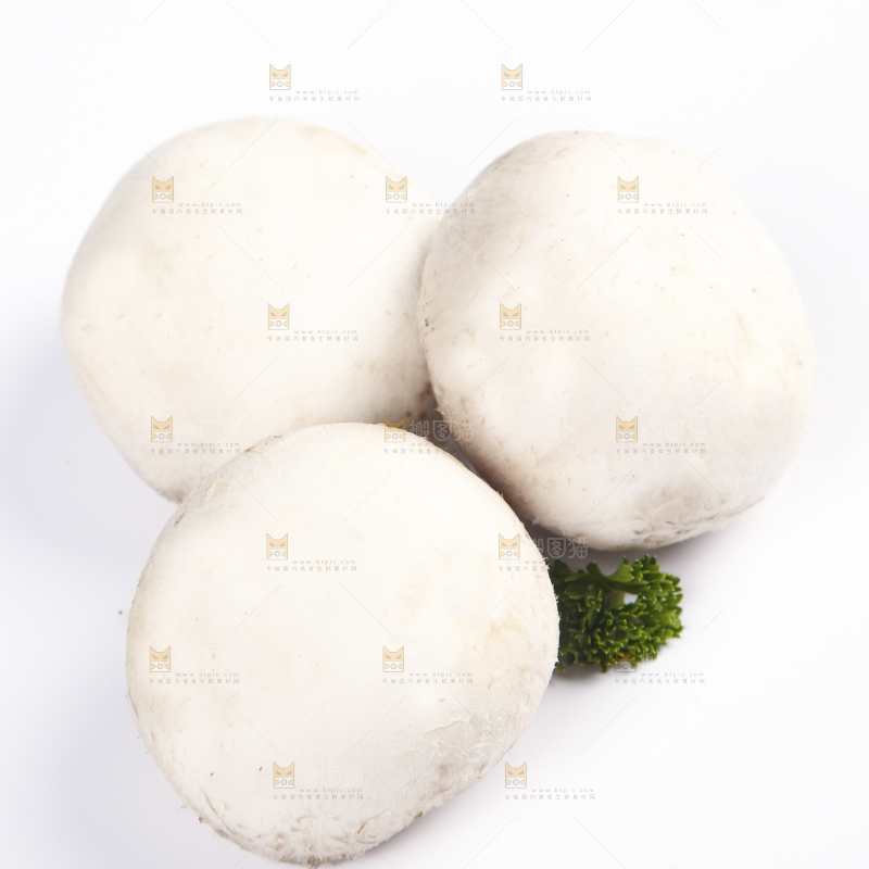 白底上的口蘑