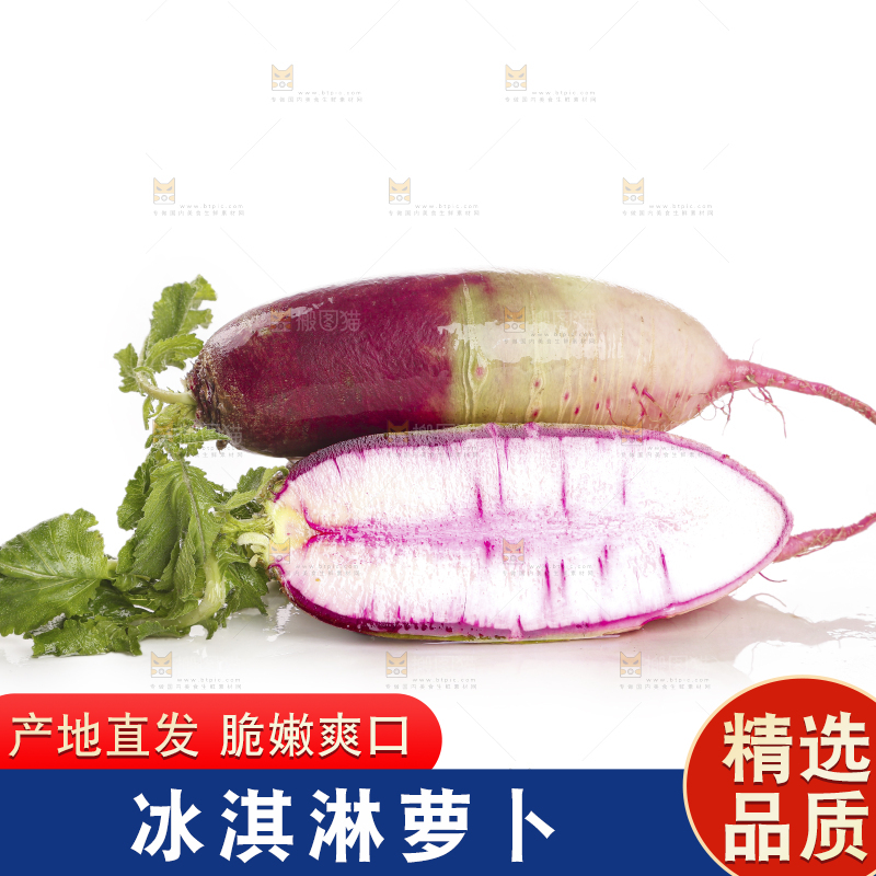 白底上的冰淇淋萝卜