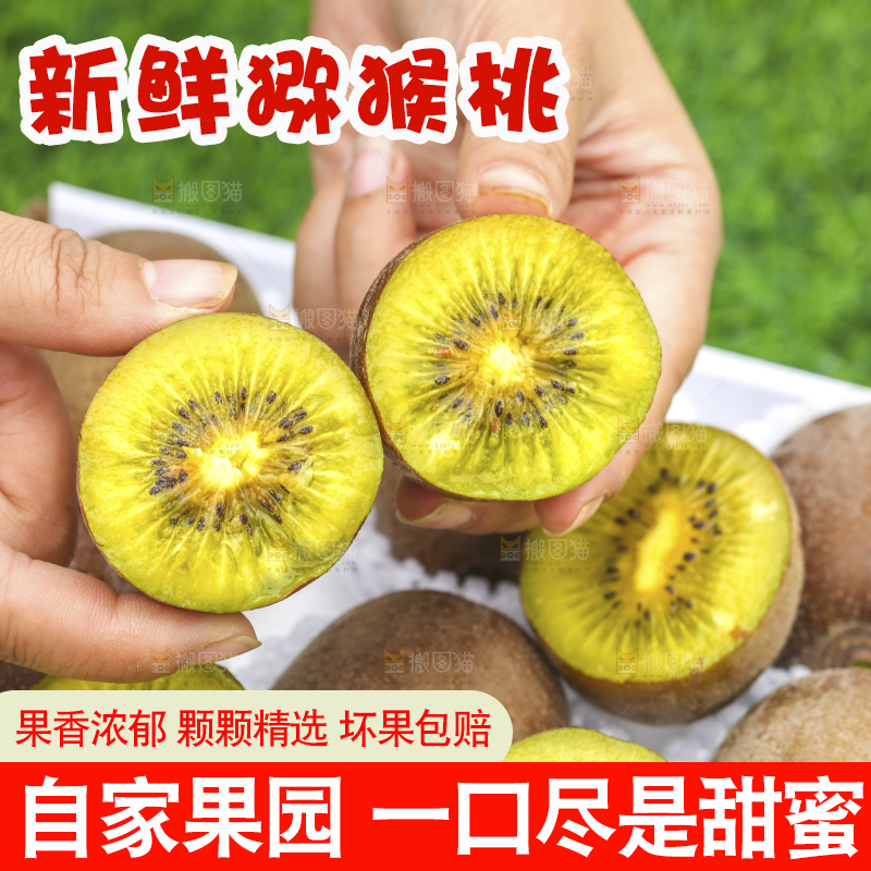 手里拿着新鲜猕猴桃