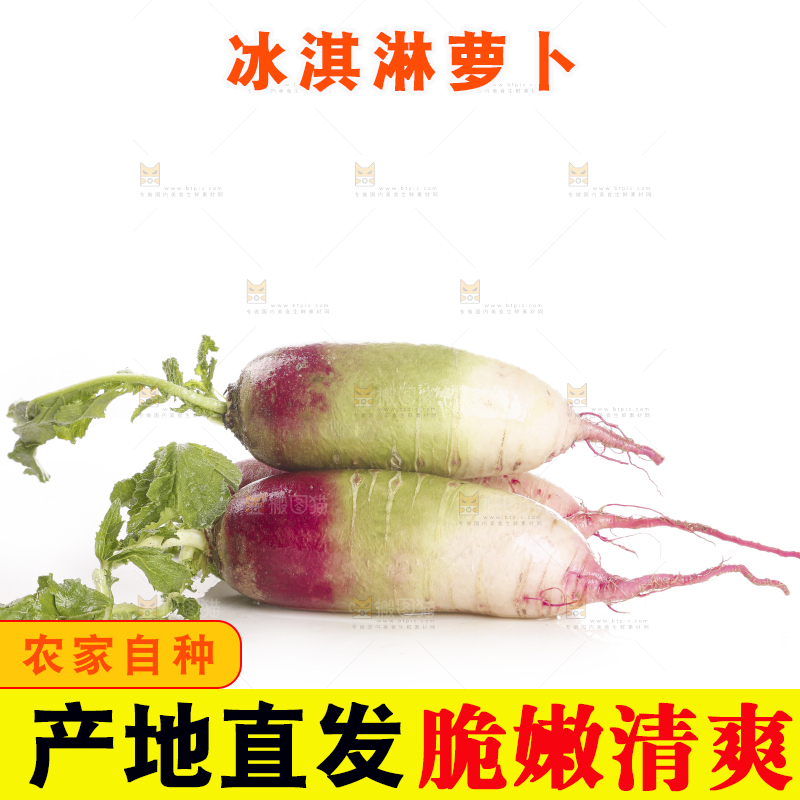 白底上的冰淇淋萝卜