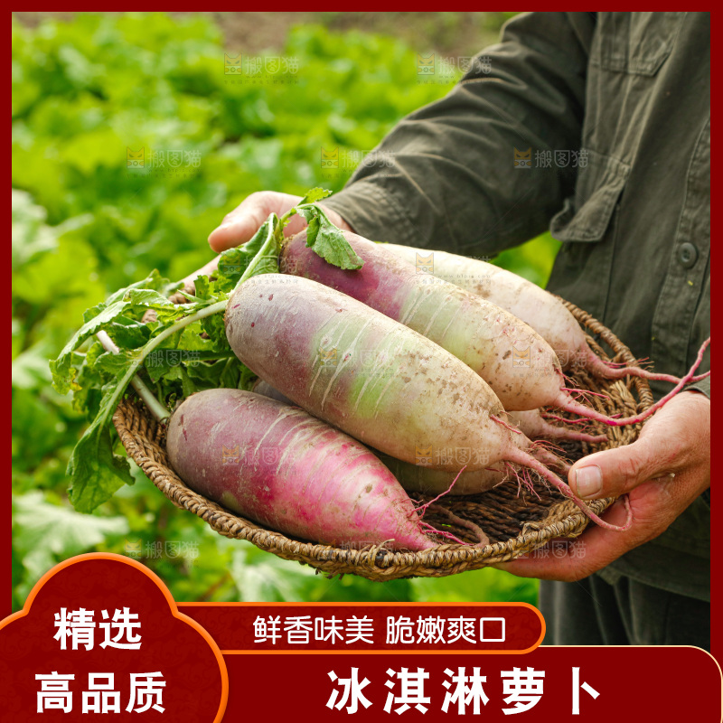 手里拿着冰淇淋萝卜