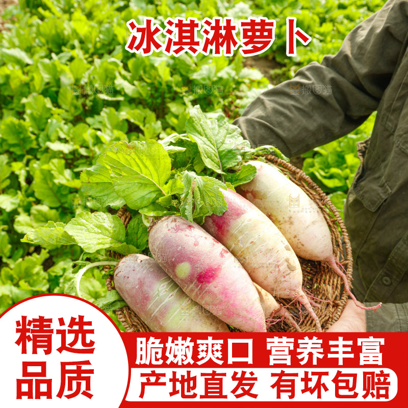 手里拿着冰淇淋萝卜