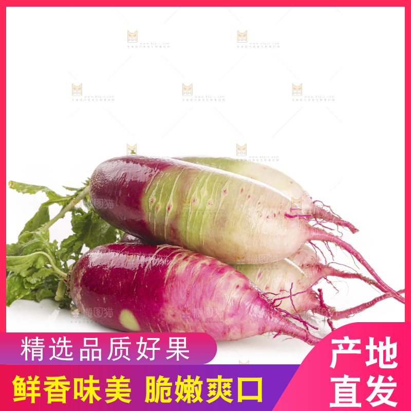 白底上的冰淇淋萝卜