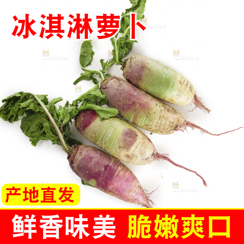 白底上的冰淇淋萝卜